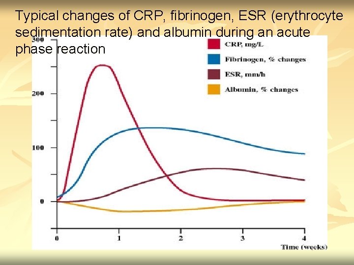 Typical changes of CRP, fibrinogen, ESR (erythrocyte sedimentation rate) and albumin during an acute