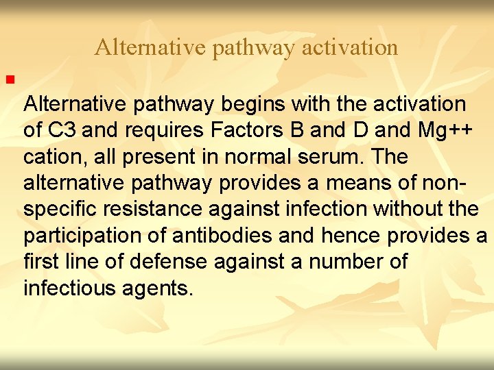 Alternative pathway activation n Alternative pathway begins with the activation of C 3 and