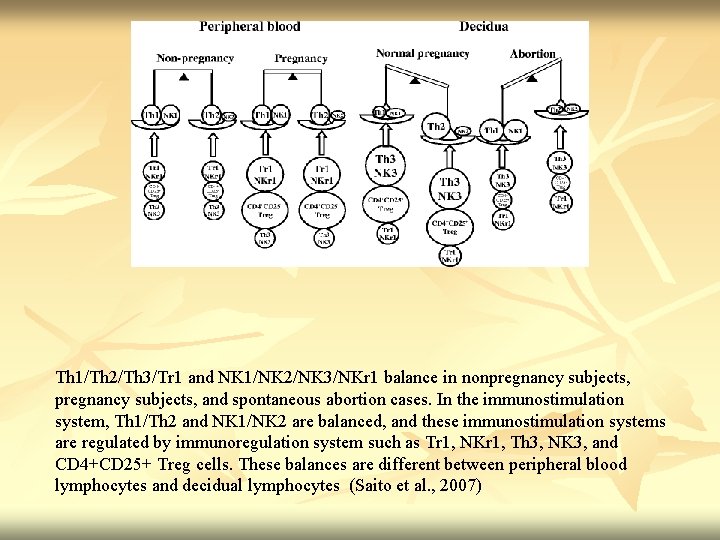 Th 1/Th 2/Th 3/Tr 1 and NK 1/NK 2/NK 3/NKr 1 balance in nonpregnancy