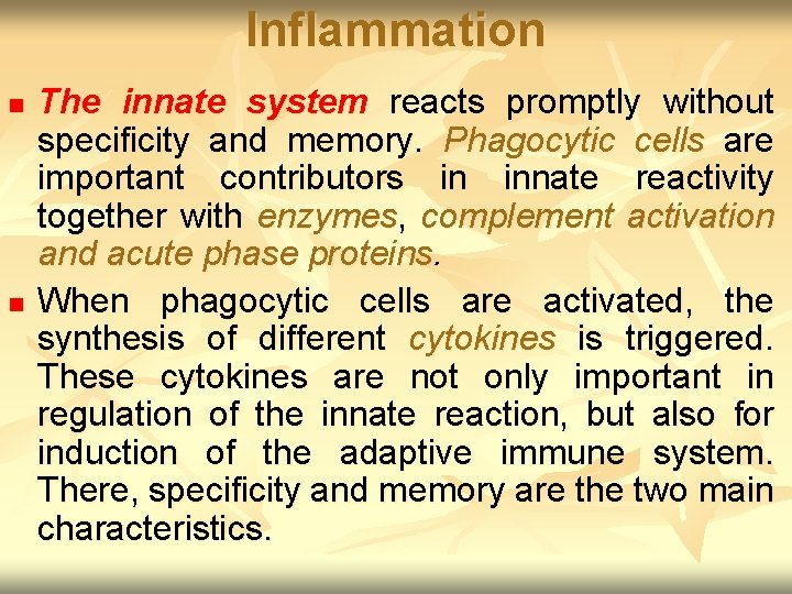 Inflammation n n The innate system reacts promptly without specificity and memory. Phagocytic cells