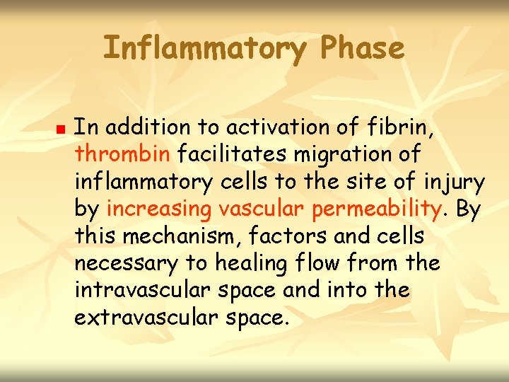 Inflammatory Phase n In addition to activation of fibrin, thrombin facilitates migration of inflammatory