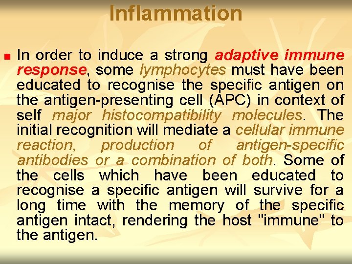 Inflammation n In order to induce a strong adaptive immune response, some lymphocytes must