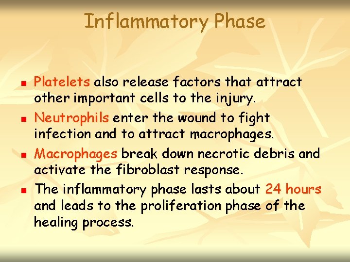 Inflammatory Phase n n Platelets also release factors that attract other important cells to