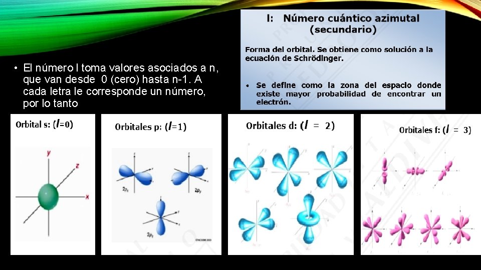  • El número l toma valores asociados a n, que van desde 0