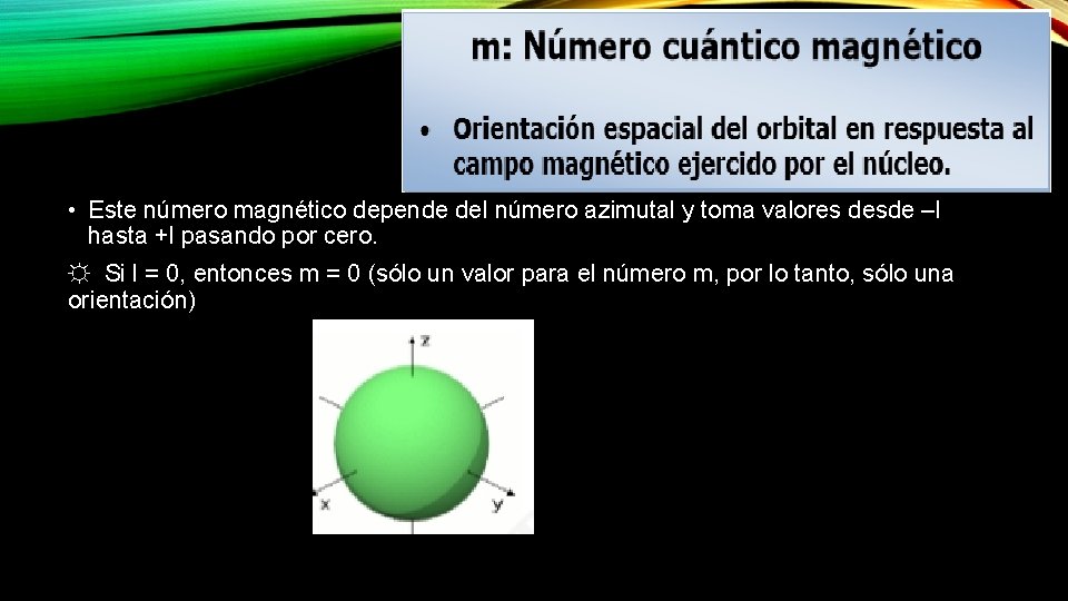  • Este número magnético depende del número azimutal y toma valores desde –l