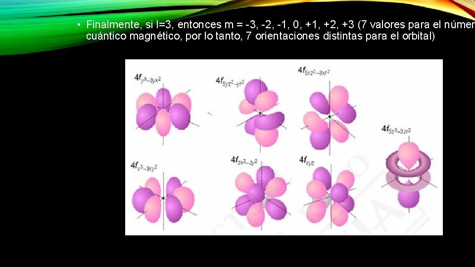  • Finalmente, si l=3, entonces m = -3, -2, -1, 0, +1, +2,