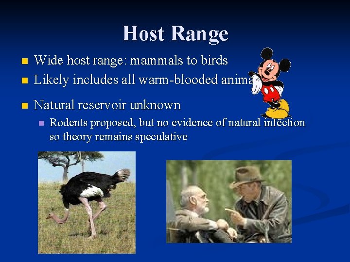 Host Range n Wide host range: mammals to birds Likely includes all warm-blooded animals