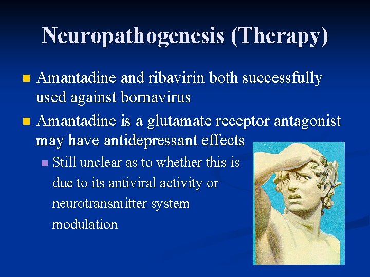 Neuropathogenesis (Therapy) Amantadine and ribavirin both successfully used against bornavirus n Amantadine is a