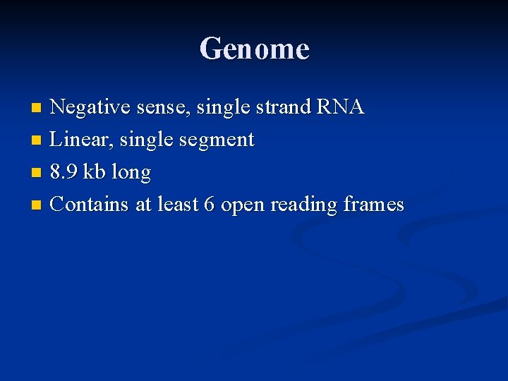 Genome Negative sense, single strand RNA n Linear, single segment n 8. 9 kb