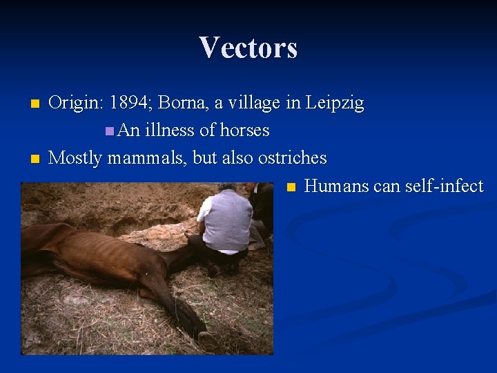 Vectors n n Origin: 1894; Borna, a village in Leipzig n An illness of