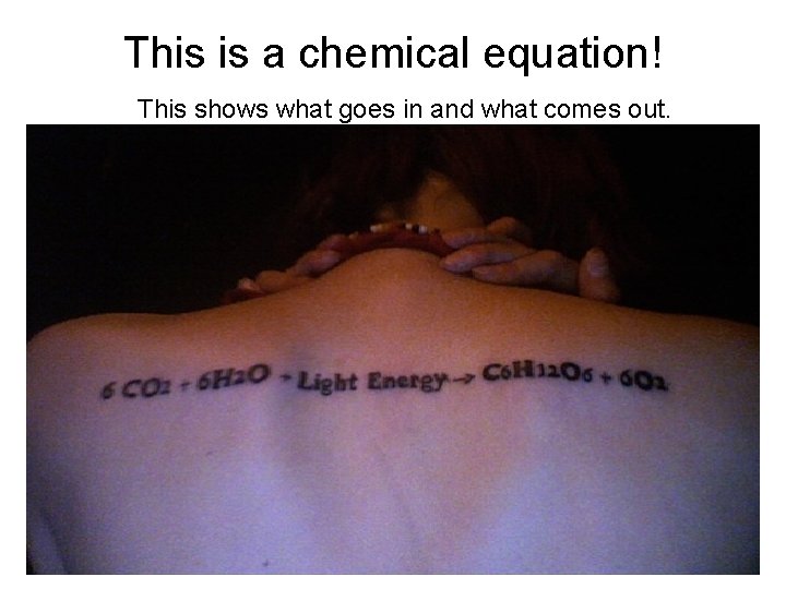 This is a chemical equation! This shows what goes in and what comes out.