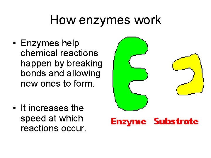 How enzymes work • Enzymes help chemical reactions happen by breaking bonds and allowing