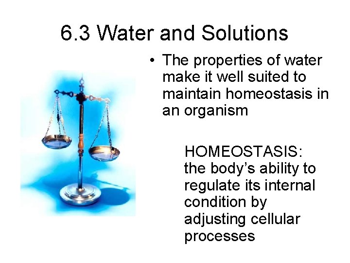 6. 3 Water and Solutions • The properties of water make it well suited