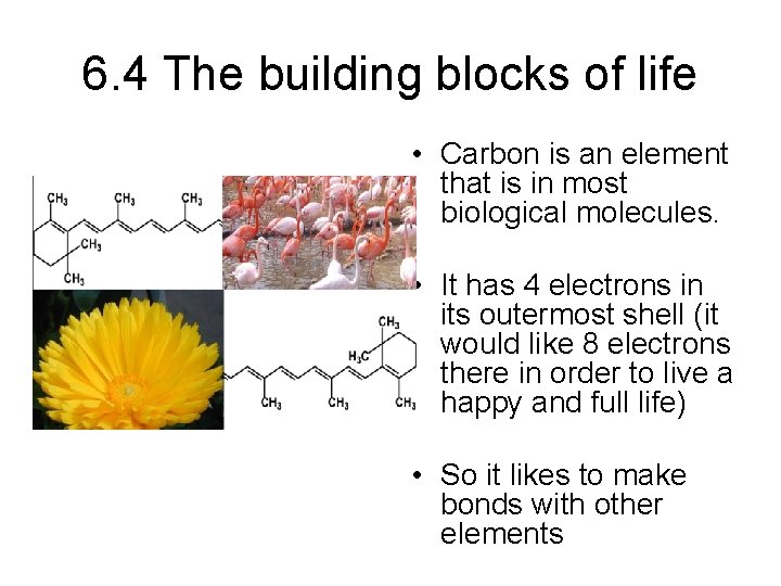 6. 4 The building blocks of life • Carbon is an element that is
