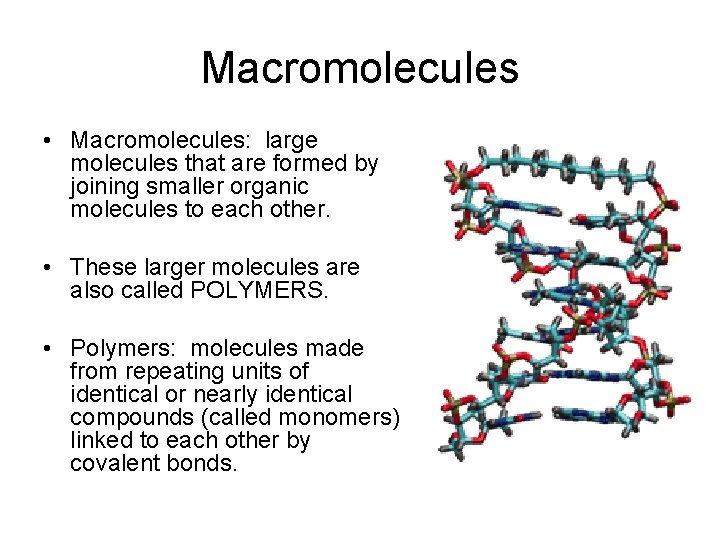 Macromolecules • Macromolecules: large molecules that are formed by joining smaller organic molecules to