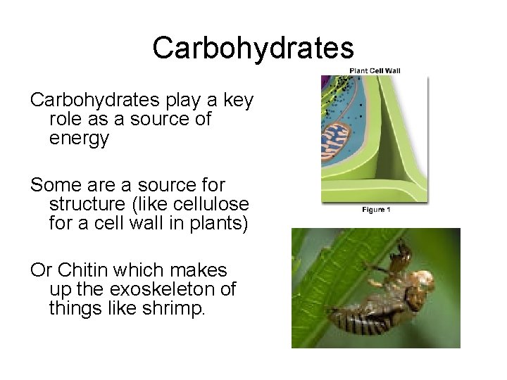 Carbohydrates play a key role as a source of energy Some are a source