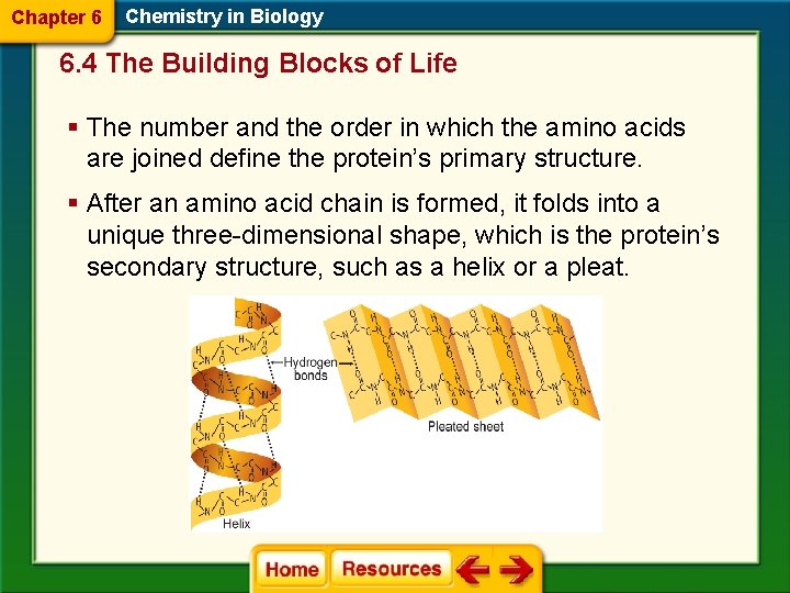 Chapter 6 Chemistry in Biology 6. 4 The Building Blocks of Life § The