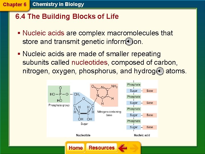 Chapter 6 Chemistry in Biology 6. 4 The Building Blocks of Life § Nucleic