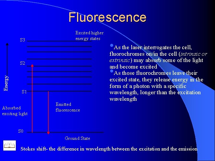 Fluorescence S 3 Excited higher energy states Energy S 2 fluorochromes on/in the cell