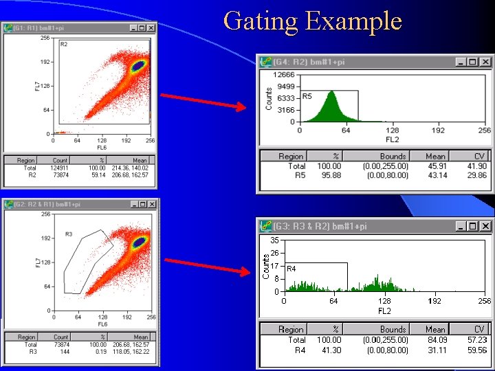 Gating Example 