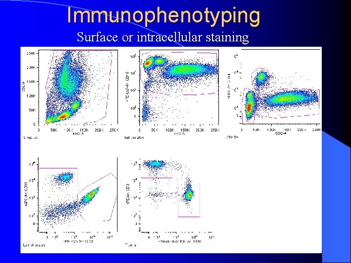 Immunophenotyping Surface or intracellular staining 