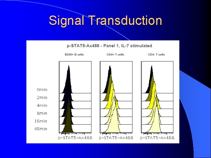 Signal Transduction 