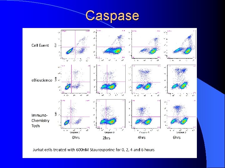 Caspase 