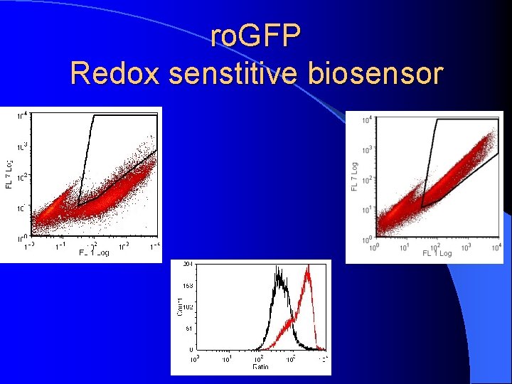 ro. GFP Redox senstitive biosensor 