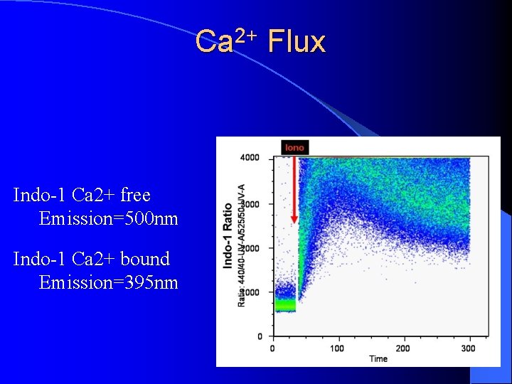 Ca 2+ Flux Indo-1 Ca 2+ free Emission=500 nm Indo-1 Ca 2+ bound Emission=395