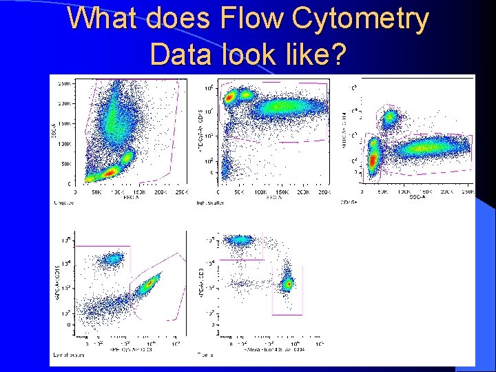 What does Flow Cytometry Data look like? 