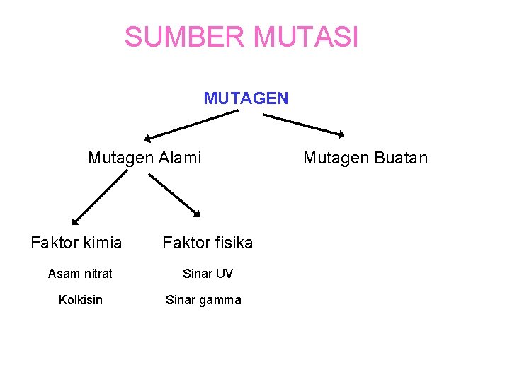 SUMBER MUTASI MUTAGEN Mutagen Alami Faktor kimia Asam nitrat Kolkisin Faktor fisika Sinar UV