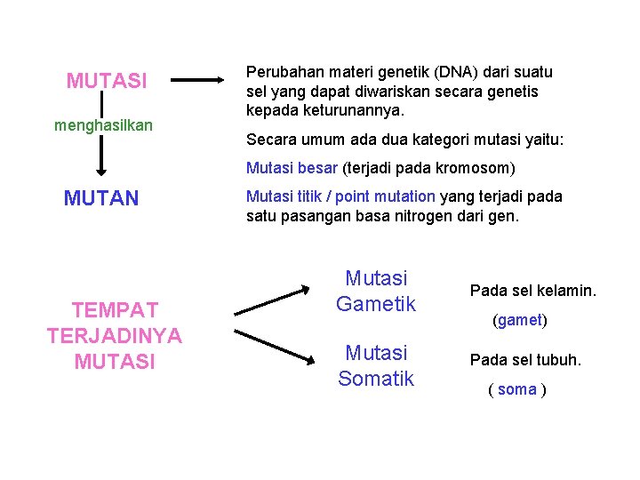 MUTASI menghasilkan Perubahan materi genetik (DNA) dari suatu sel yang dapat diwariskan secara genetis