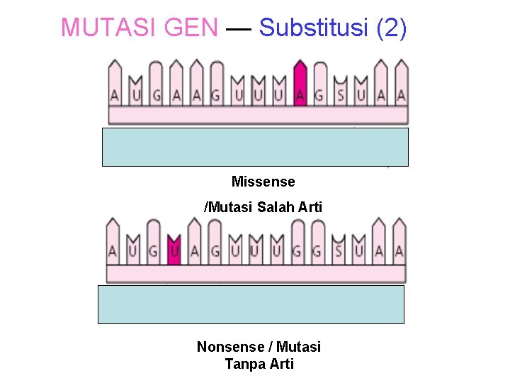 MUTASI GEN — Substitusi (2) Missense /Mutasi Salah Arti Nonsense / Mutasi Tanpa Arti