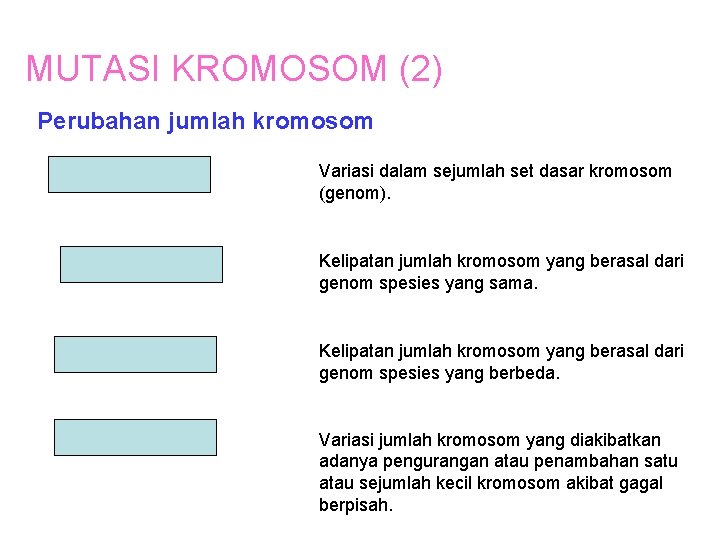 MUTASI KROMOSOM (2) Perubahan jumlah kromosom Euploid Variasi dalam sejumlah set dasar kromosom (genom).