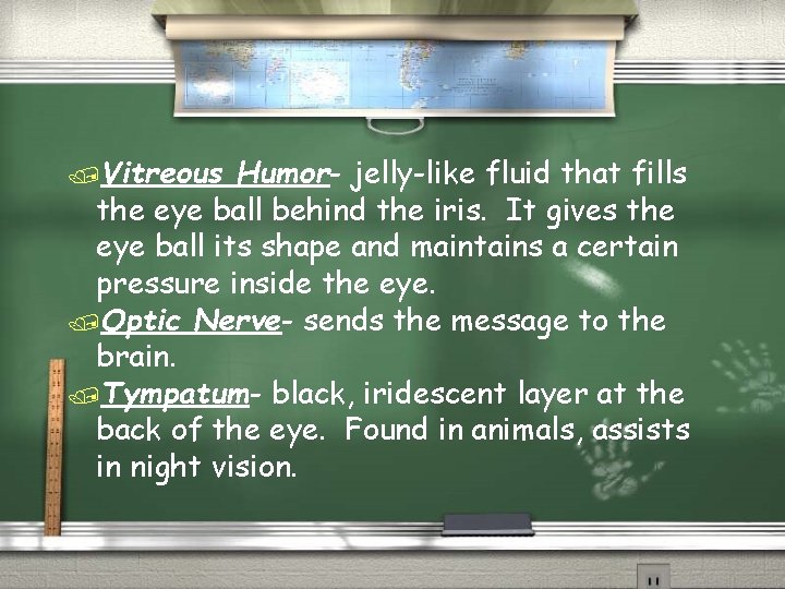 /Vitreous Humor- jelly-like fluid that fills the eye ball behind the iris. It gives /Vitreous Humor- jelly-like fluid that fills the eye ball behind the iris. It gives