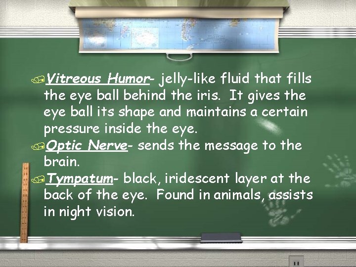 /Vitreous Humor- jelly-like fluid that fills the eye ball behind the iris. It gives