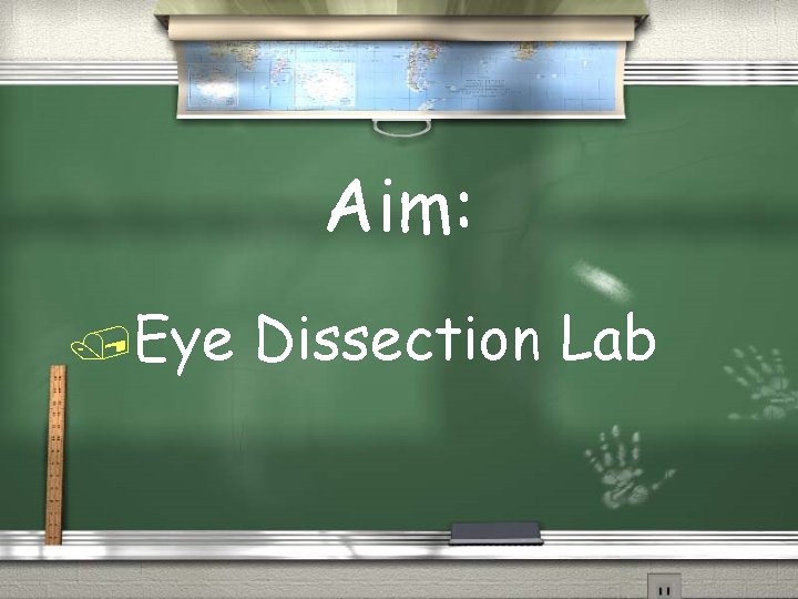 Aim: /Eye Dissection Lab  Aim: /Eye Dissection Lab