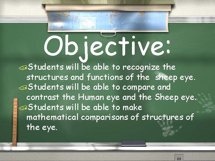 Objective: /Students will be able to recognize the structures and functions of the sheep Objective: /Students will be able to recognize the structures and functions of the sheep