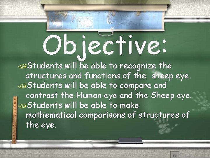 Objective: /Students will be able to recognize the structures and functions of the sheep