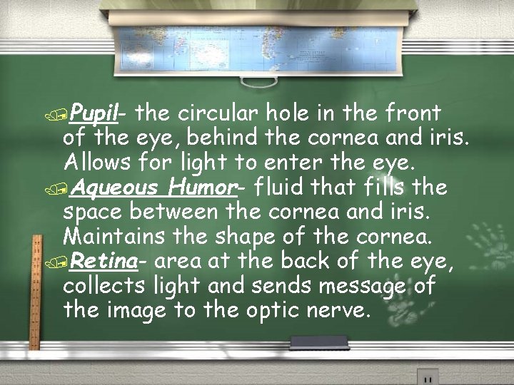 /Pupil- the circular hole in the front of the eye, behind the cornea and /Pupil- the circular hole in the front of the eye, behind the cornea and