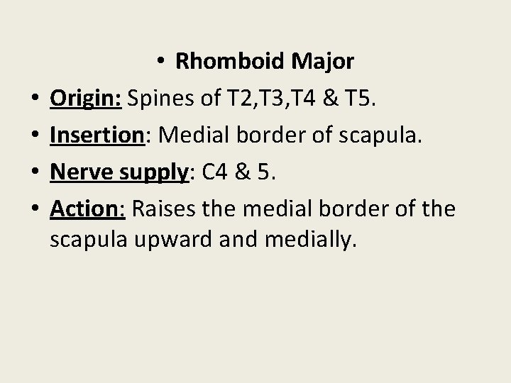  • • • Rhomboid Major Origin: Spines of T 2, T 3, T
