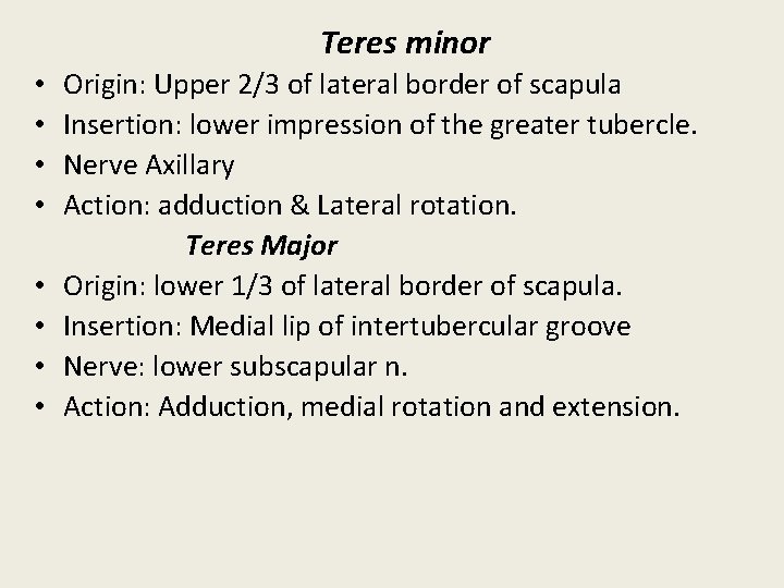 Teres minor • • Origin: Upper 2/3 of lateral border of scapula Insertion: lower