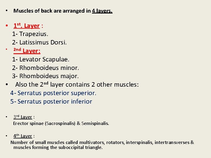 • Muscles of back are arranged in 4 layers. • 1 st. Layer