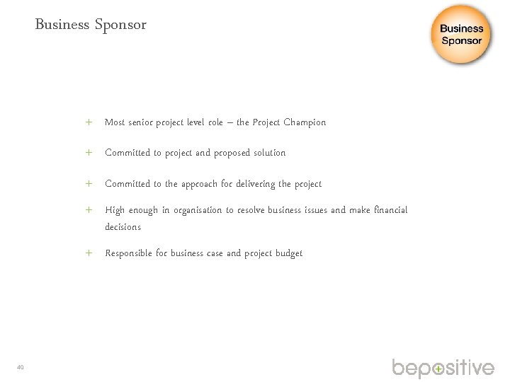 Business Sponsor Most senior project level role – the Project Champion Committed to project