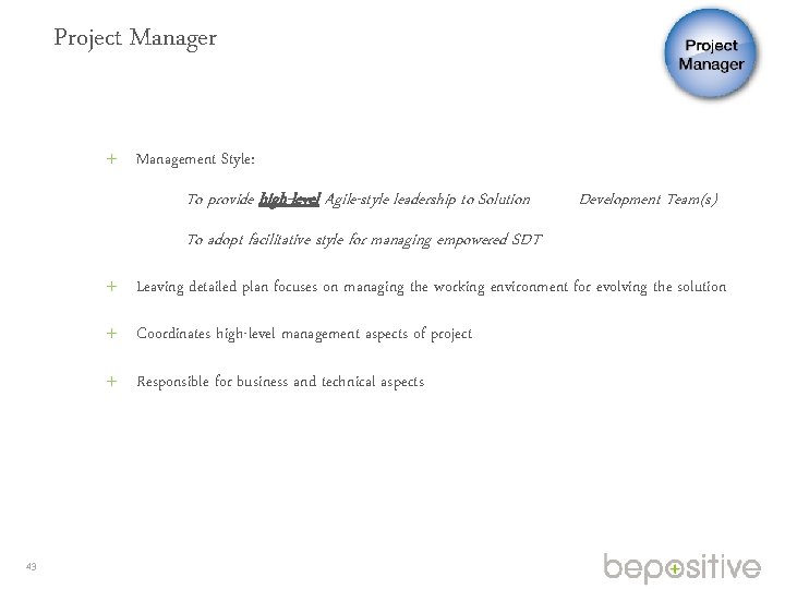 Project Manager Management Style: To provide high-level Agile-style leadership to Solution Development Team(s) To