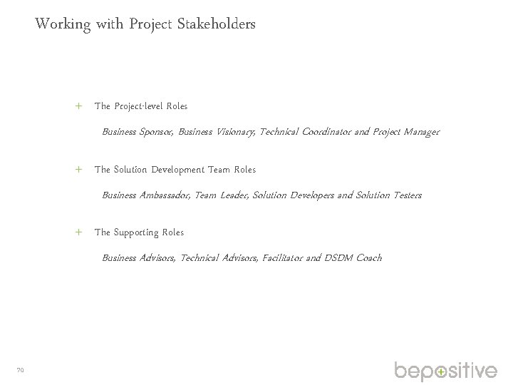 Working with Project Stakeholders The Project-level Roles Business Sponsor, Business Visionary, Technical Coordinator and