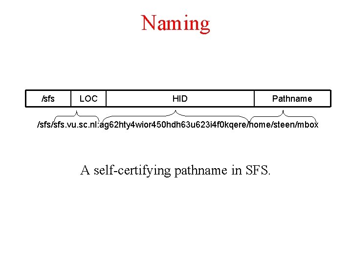 Naming /sfs LOC HID Pathname /sfs. vu. sc. nl: ag 62 hty 4 wior