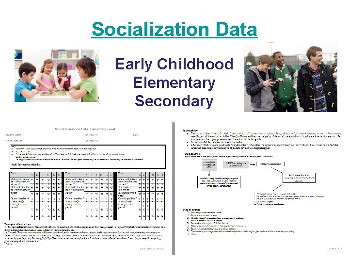 Socialization Data Early Childhood Elementary Secondary 