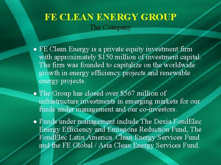 FE CLEAN ENERGY GROUP The Company · FE Clean Energy is a private equity
