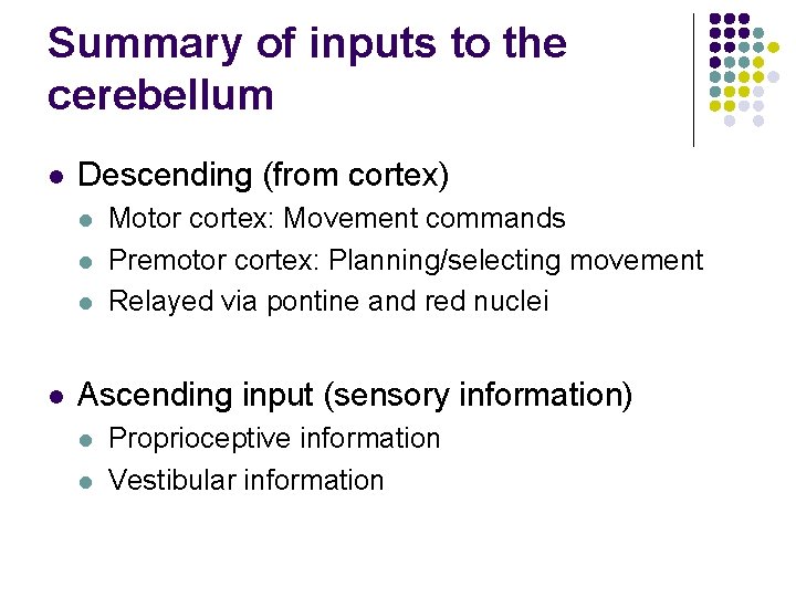 Summary of inputs to the cerebellum l Descending (from cortex) l l Motor cortex: